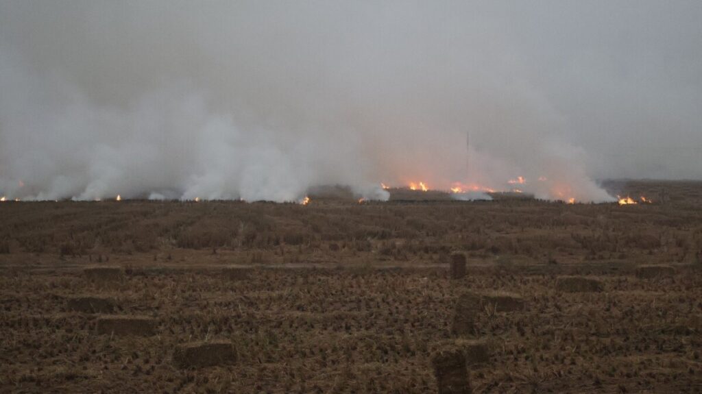 The burning issue beneath the haze 3 image 3