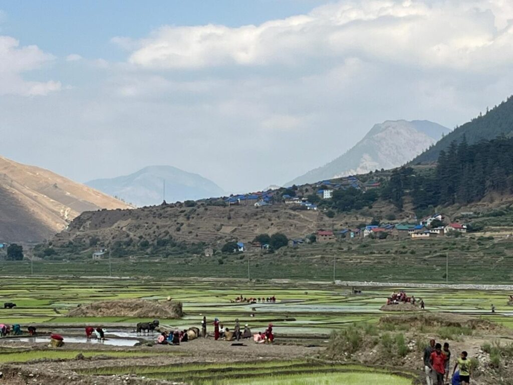 jumla blog 1